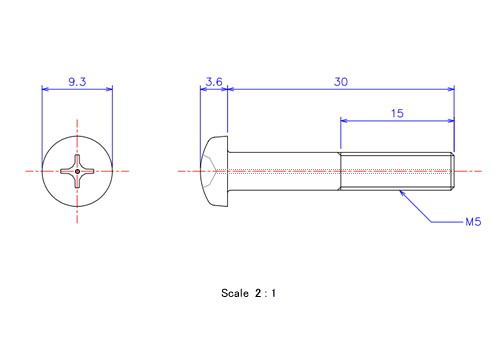 Drawing of Pan head gas hole ceramic screw M5x30L Metric.